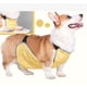 thumbnail image 3 of Protector De Vientre Para Perro, Babero Impermeable Para Perro, Protector De Pecho, Chaleco Para Vientre De Perro, Arnés Protector Para Cachorro De Pierna Corta Corgi,, 3 of 7