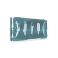 thumbnail image 2 of Trademark Fine Art 'Feathers on Dusty Teal I' Canvas Art by Grace Popp, 2 of 4
