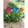 thumbnail image 3 of Homestock Sophisticated Simplicity Stake Solar Daisy Flower Pink, 3 of 3