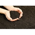 thumbnail image 5 of Vermont Compost Company Fort Vee Potting Mix 20 Quarts, 5 of 8
