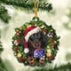 thumbnail image 4 of Decoraciones navideñas, regalo divertido para amantes, corona navideña colgante acrílica, colgantes de perro salchicha para adorno para árbol de Navidad, 4 of 4