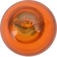 thumbnail image 4 of Philips Longerlife Miniature 916Nall, Amber, Push Type, Always Change In Pairs!, 4 of 6