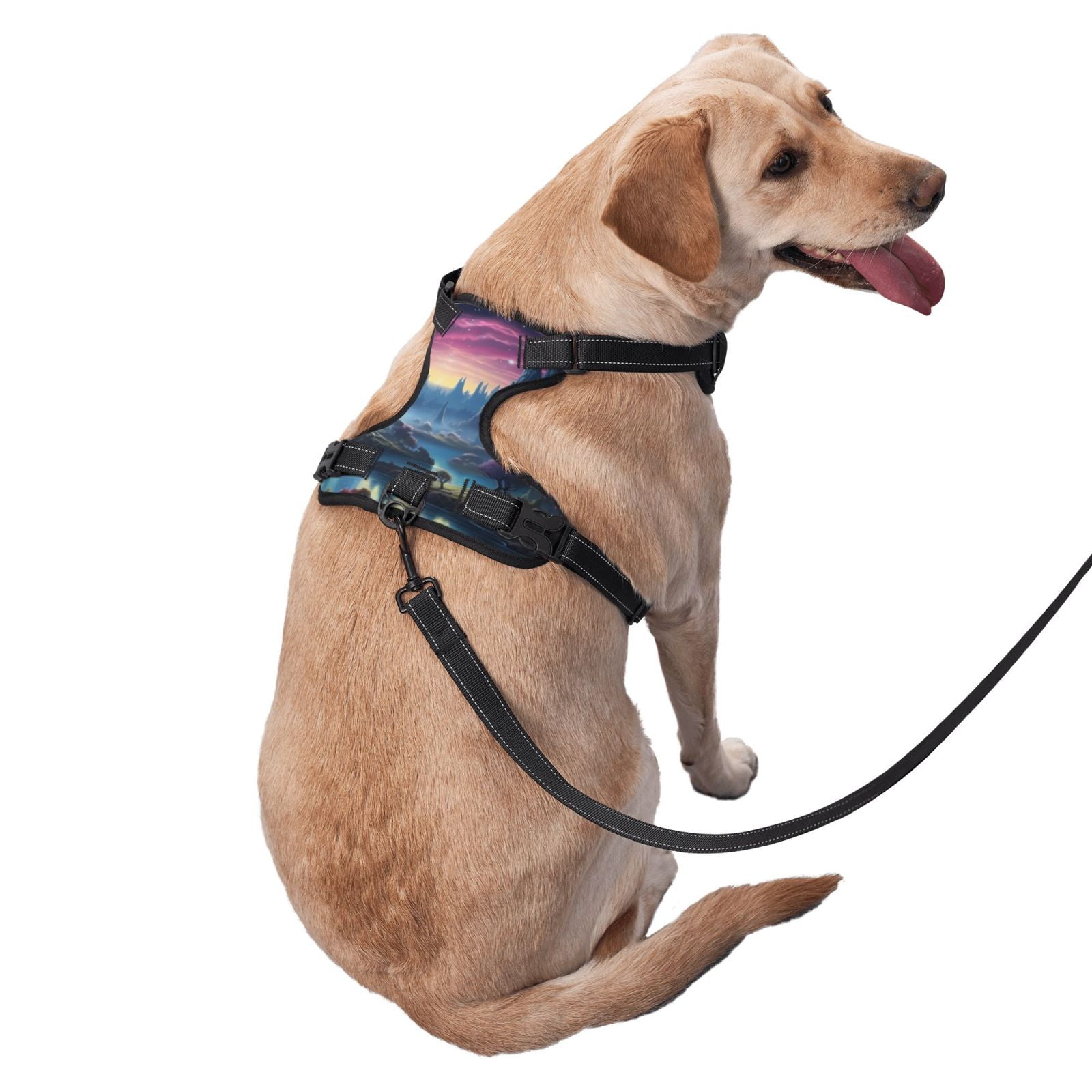 Vsdgher Fantasy Landscape Starry Night Dog Harness, No-Pull Pet Harness, Dog Vest, Pet Vest for Small to Large Dogs-Large