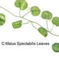 thumbnail image 3 of LAVA 24 Packs Artificial Ivy Vines Garland Fake Hanging Plants Aesthetics Greenery for Wall Door Room Decorations Wedding Party Home Decor, 3 of 11