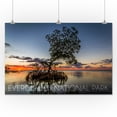 thumbnail image 3 of Everglades National Park, Florida, Mangrove and Sunset (24x36 Giclee Gallery Art Print, Vivid Textured Wall Decor), 3 of 3