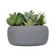 thumbnail image 4 of hometrends Tessier Faux Succulents in Gray Pot, 4 of 5