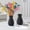 Black, variant on Ceramic Vase for Living Room Decoration - Frosted Vertical Texture Hydroponic Vase - Tabletop Flower Vase for Home Office Shelf Décor - Small Modern Centerpiece Vase with Glazed Finish - 15.2cm Tall