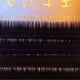 thumbnail image 5 of 12mm Colorful False Eyelash Extension Gradient Color Fake Eye Lashes Individual Eyelashes, 5 of 5