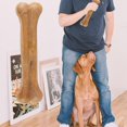 thumbnail image 4 of 8 inch Compressed Rawhides Dog Bones Chewing Snack Food Treats Teething Toy, 4 of 7