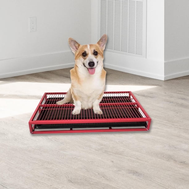 Metal Dog Potty Toilet Puppy Pee Pad Holder Loo Fácil de limpiar Bedpan Cajón de caja de arena para perros Caja de arena para mascotas para Bunny Rojo Salvador Bandeja sanitaria