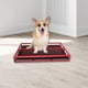 thumbnail image 1 of Metal Dog Potty Toilet Puppy Pee Pad Holder Loo Fácil de limpiar Bedpan Cajón de caja de arena para perros Caja de arena para mascotas para Bunny Rojo Salvador Bandeja sanitaria, 1 of 10