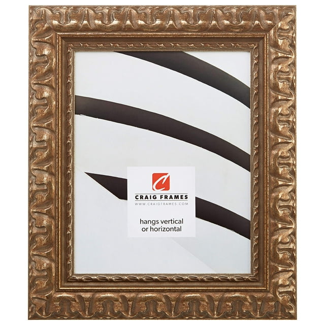 Craig Frames Bravado Ornate Antique Bronze Picture Frame, 12 by 16-Inch