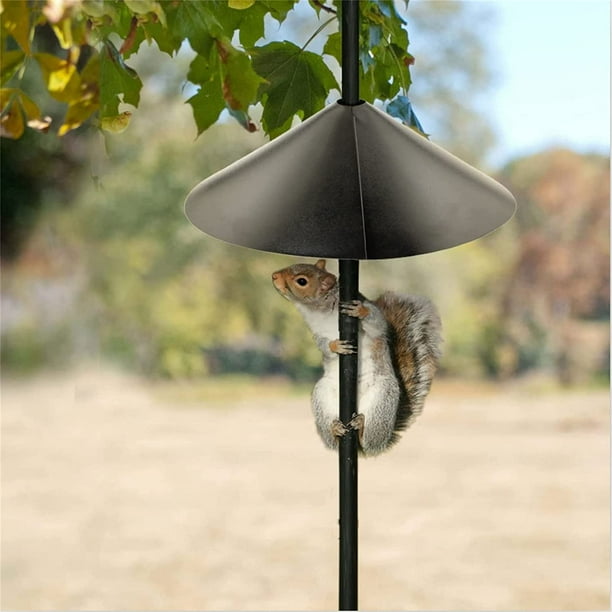 2022 New Squirrel Proof Baffle for Protecting Outside Pole Bird Feeders