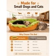 thumbnail image 2 of Hot Dog Dog Bed for Small Dogs Cute Washable Plush Pet Bed with Removable Cushion, Non-Slip Cozy Kennel for Dachshund Cats Indoor, M, 2 of 8