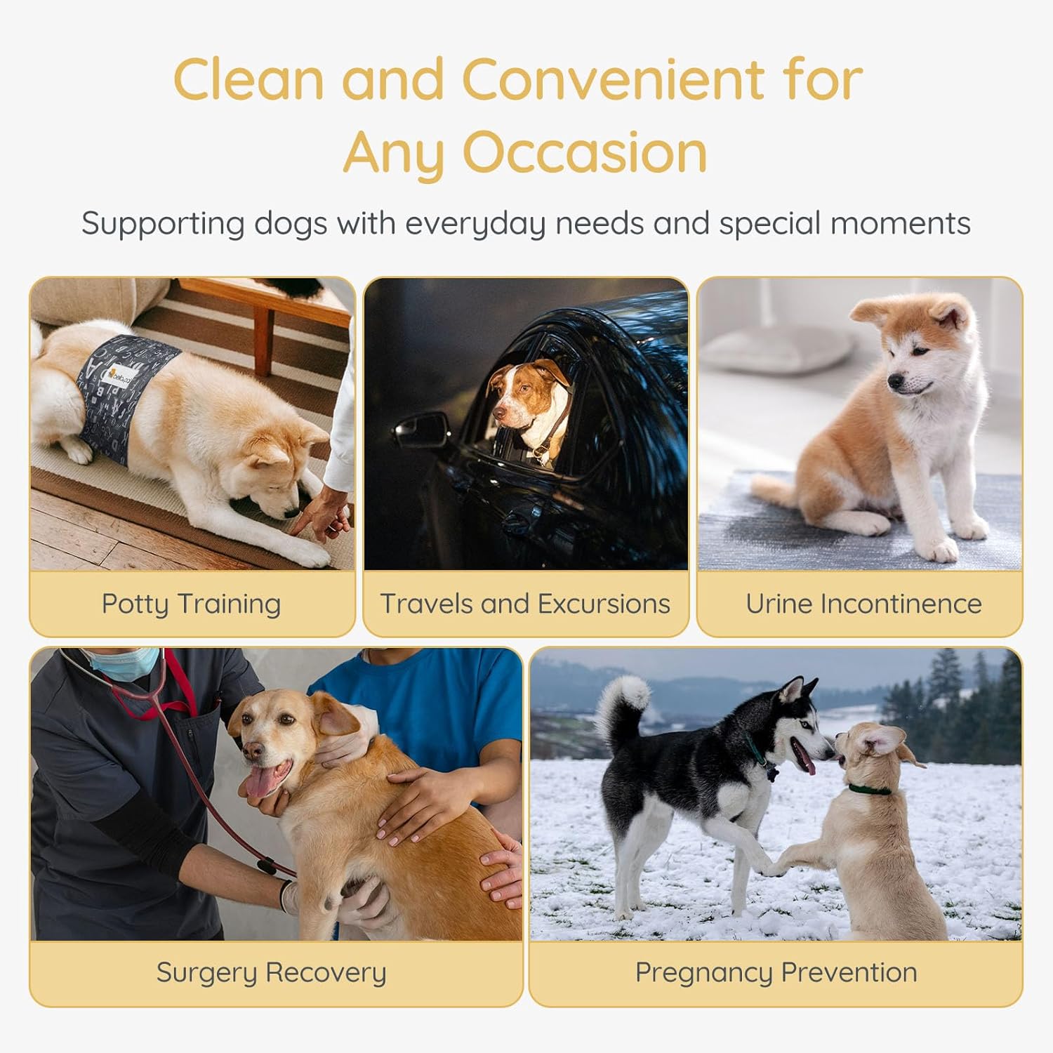 BELLA & PAL Light Gray Male Dog Diapers, 3-Pack, Highly Absorbent Washable Diapers for Small Dogs, Leak-Proof Puppy Diapers, XS