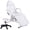White, variant on Massage Salon Tattoo Chair with 2 Trays Esthetician Bed with Hydraulic Stool, Multi-Purpose 3-Section Facial Bed Table, Adjustable Beauty Barber Spa Beauty Equipment, White