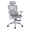 Grey, variant on Guyou Ergonomic Office Chair, Mesh Desk Chair with Adjustable 3D Armrests, Lumbar Support, 2D Headrest, Tilt, Black