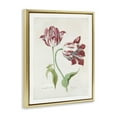 thumbnail image 4 of Stupell Industries Classic Tulip Study Plants & Flowers Painting Gold Floater Framed Canvas Art Print Wall Art, 17 x 21, 4 of 10