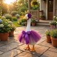 thumbnail image 6 of AuroraX 23 inch Porch Goose Outfit Sets Porch Goose Clothes Set 23" 17 19 inch Holiday Princess Tutu Skirts Porch Goose Accessories Fall Outside Stuff, 6 of 6