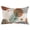 Beige Orange Green, variant on Nautical Anchor Pillow Covers 20x26 Inch Standard Size, Vintage Coastal Summer Beach Coral Decorative Pillowcase with Zipper, Microfiber Breathable Pillowcases for Sofa Bed Living Room