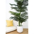 thumbnail image 2 of Orchid & Succulent Garden with White Wash Planter, 2 of 5
