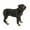 Rottweiler, variant on Colaxi Dog Figurine Dog Sculptures Attractive Puppy Standing Figurine Statue Simulation Dog Ornaments for Living Room Memorial Gifts Spaniel