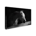 thumbnail image 2 of Trademark Fine Art 'Roman' Canvas Art by Thom Sivo, 2 of 3