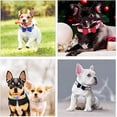 thumbnail image 5 of Mumup Bow Tie Rhinestone Dog Collar Cute Sparkling Crystal Diamond Puppy Kitten Pet Cat Collar for Small Dogs Boys Girls, 5 of 6