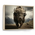 thumbnail image 2 of Designart "Bison Portrait III" Animals Floater Framed Canvas Art Print, 2 of 7