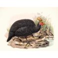 thumbnail image 3 of Joseph Smit 14x12 Black Modern Framed Museum Art Print Titled - The Nonsense Crowned. (1872), 3 of 5