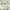 Ivory/Green, variant on SAFAVIEH Hudson Shag Jack Abstract Area Rug, Ivory/Green, 2' x 3'