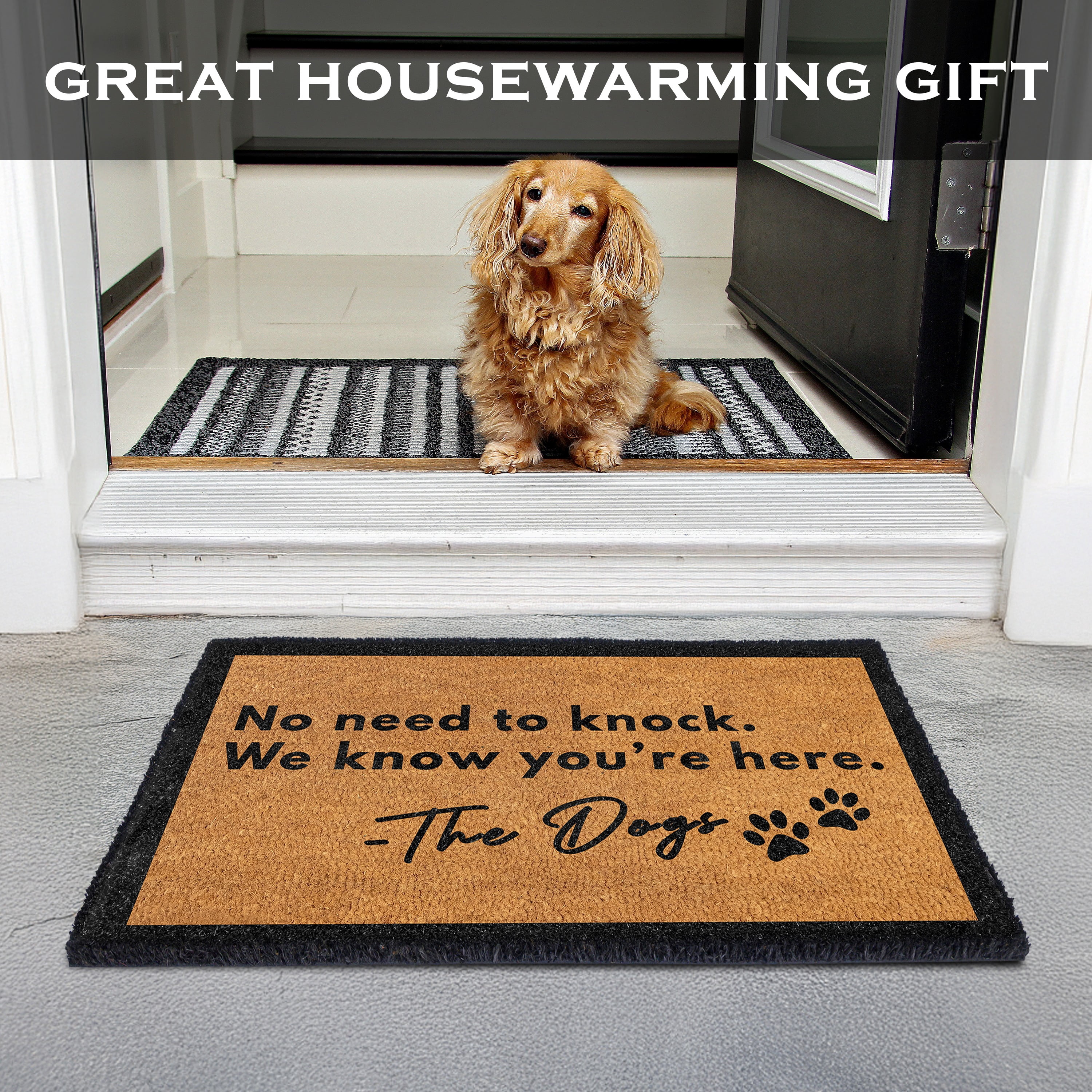 MAINEVENT No Need to Knock Doormat 30x17 Inch, Funny Dog Outdoor Welcome Mat for Outside