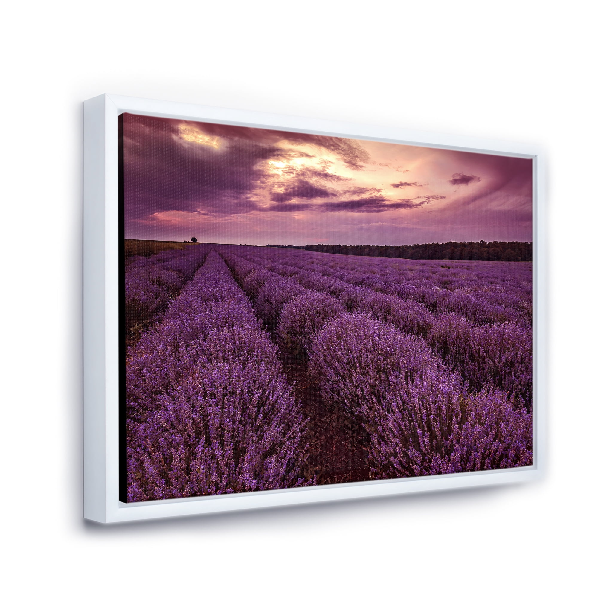 Designart 'Dramatic Clouds and Sunrise Over Lavender Field III' Farmhouse Framed Canvas Wall Art Print