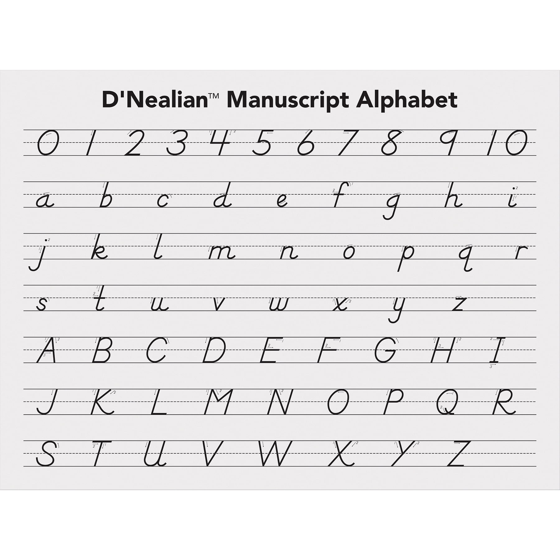 Pacon Handwriting Tablet, White, 1/2 in x 1/4 in x 1/4 in Ruled Long, 12" x 9", 40 Sheets, Pack of 12