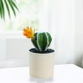 thumbnail image 4 of Artificial Cactus Potted Plants, Fake Cactus Succulents in Pot, Faux Mini Cactus Plants for Home Office, Desk, Shelf, Indoor Outdoor Decor, 4 of 5