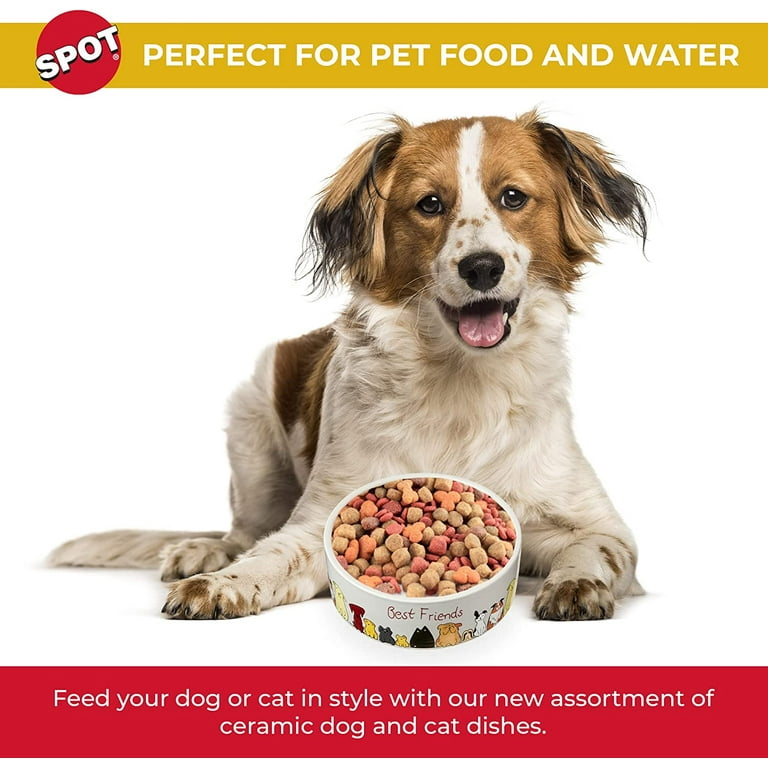 Best friends top dog food