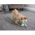 thumbnail image 2 of goDog Dinos Frills Plush Squeaker Chew Guard Dog Toy, Small, Teal, 2 of 11