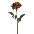 thumbnail image 2 of My Texas House Fall Faux Rose Stem, Light Brown, 20", 2 of 5