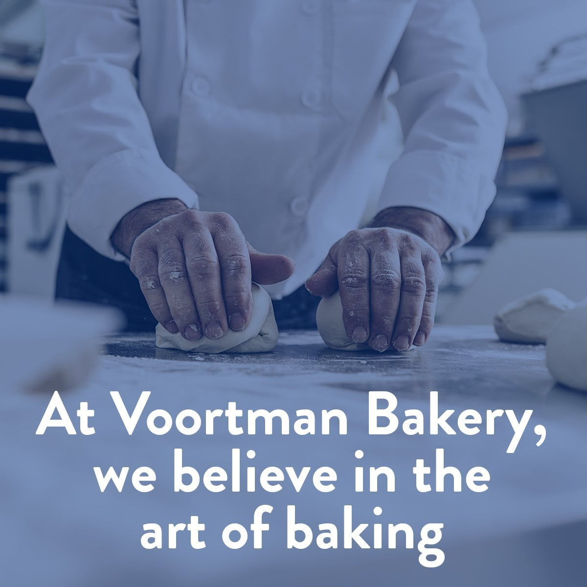 Sugar Free Chocolate Chip Cookies by Voortman Bakery, Crispy, Crunchy Cookies, 4 boxes, 8oz each