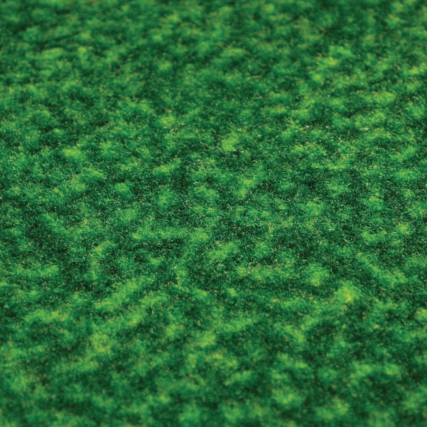 Fanmats NBA Champion Toronto Raptors Putting Green Mat