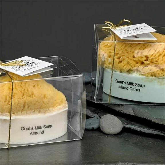 GM Soap w/Sponge - Black Raspberry Vanilla