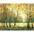 thumbnail image 2 of OToole, Tim 18x15 White Modern Wood Framed Museum Art Print Titled - Fall Retreat II, 2 of 4