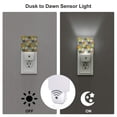 thumbnail image 3 of Cauagu Hawaiian Style Print LED Nightlight,0.5W Night Lights Plug into Wall 1 Pack with Dusk-to-Dawn Light Sensor Soft Glow Lamp for Bathroom Adult Hallway-EU, 3 of 7
