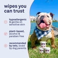 thumbnail image 4 of Petpost Bulldog Wrinkle Wipes - 100 Pre-Soaked Cotton Pads with Coconut Oil & Aloe - Gentle Cleanser for Pug, Bulldog & Wrinkly Breed Folds, 4 of 9