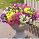 thumbnail image 4 of 12 paquetes de flores artificiales Ivydale Silk Morning Glory, 4 of 9