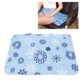 thumbnail image 1 of Almohadilla De Hielo Para Silla, Cojín De Asiento Refrescante, Fácil Limpieza, Compresa Fría, , Segura Para Refrigerador, Superficies Impermeables, Agradable Para La Piel, 1 of 7