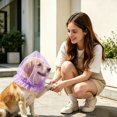 thumbnail image 5 of 2Pcs Headgear For Dogs Soft Protection Net For Dogs For Small Medium Dogs Anti Eating Pet Headgear For Cats Cats Walks Camping Outdoor Travel Pet Supplies 9.84X9.84" New, 5 of 5