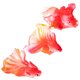 thumbnail image 4 of OHOIOLLA 3Ud De Acuario Con De Oro Resina Multicolor Para Oficina Y Jardín, 4 of 8