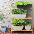 thumbnail image 1 of YAOMOBB Desktop Flowerpots Vegetable Growing Box Flowerpot with Drainage Holes Thickened Edge Strong Load Bearing Indoor Rectangular Vegetable Herb Planter, 1 of 7