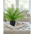 thumbnail image 6 of 15"Artificial Palm Plant Real Touch Faux Tropical Palm Tree in Black Pot Home Indoor Living Room Tabletop Balcony Decorations, 6 of 7